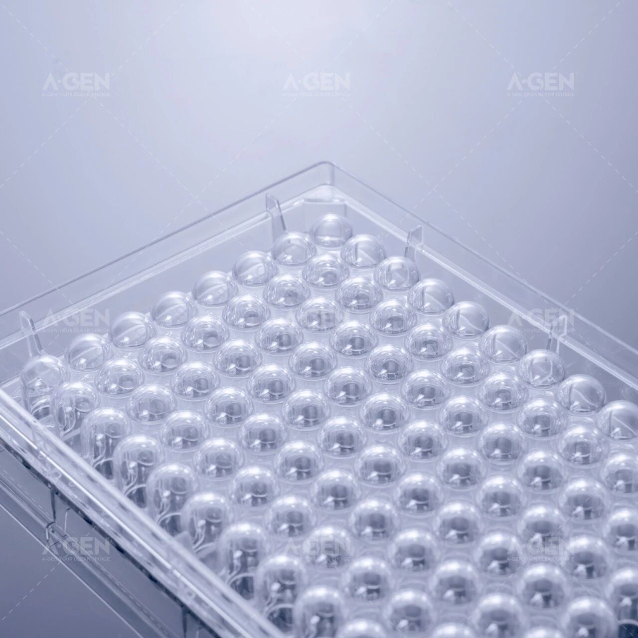 # How to Select the Right Cell Culture Plate image